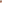 JELLYFISH PALETTE