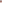 LEOPARD PALETTE