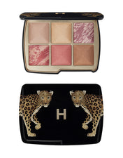 AMBIENT LIGHTING EDIT UNLOCKED PALETTE & BRUSH DUO